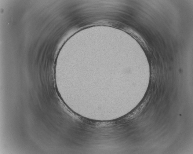 X0000075870808200610151659