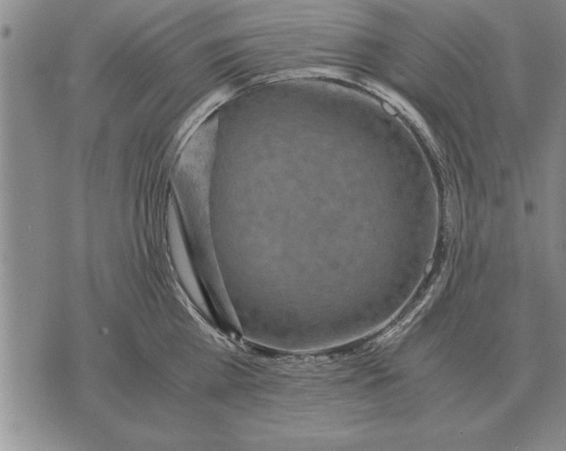 X0000075870809200610151659