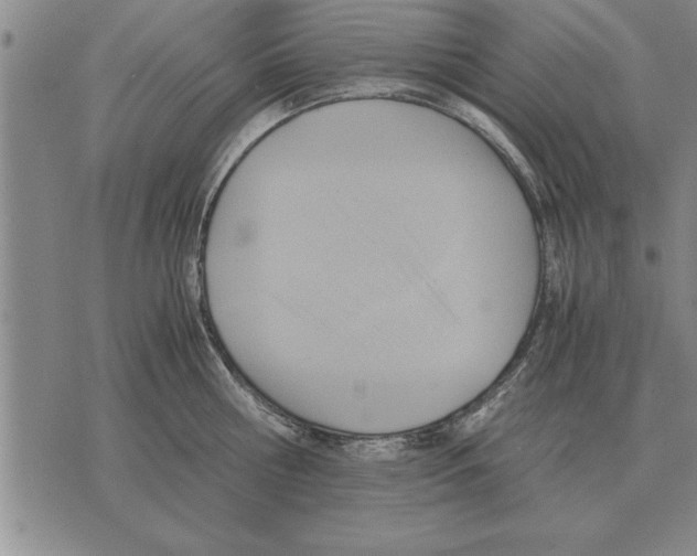 X0000075870810200610151659