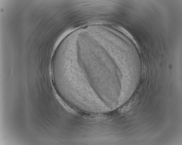 X0000075870811200610151659