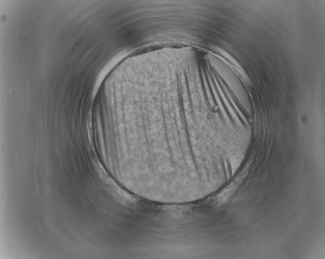 X0000075870812200610151659