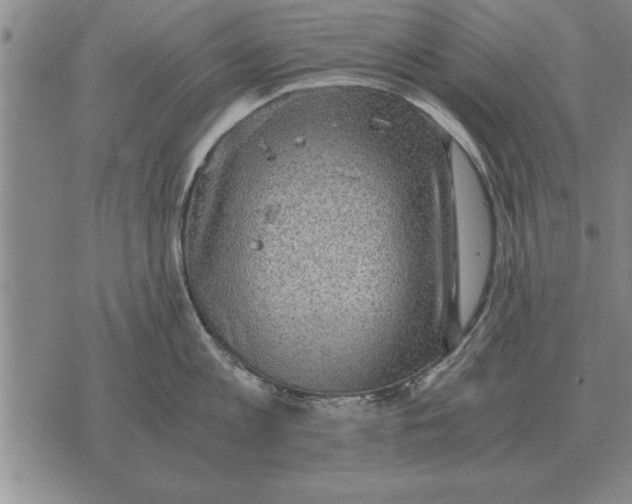 X0000075870813200610151659