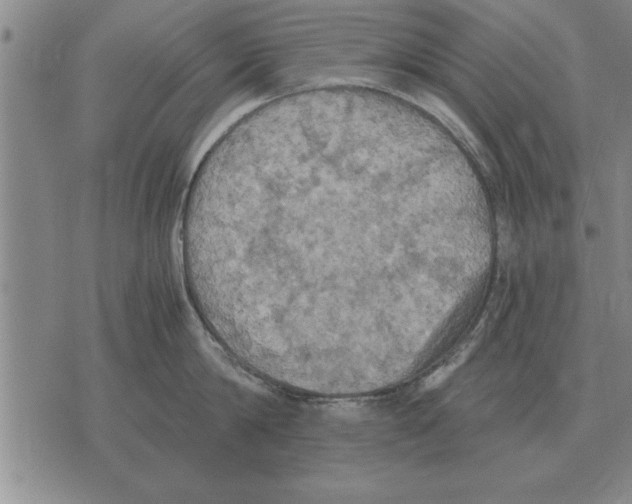 X0000075870814200610151659