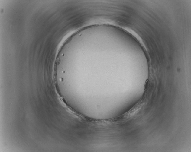 X0000075870815200610151659