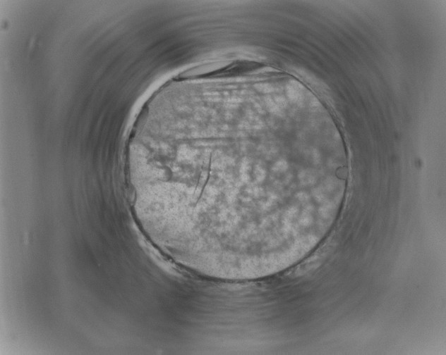 X0000075870816200610151659