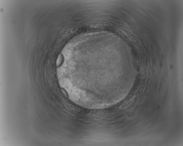 X0000075870817200610151658