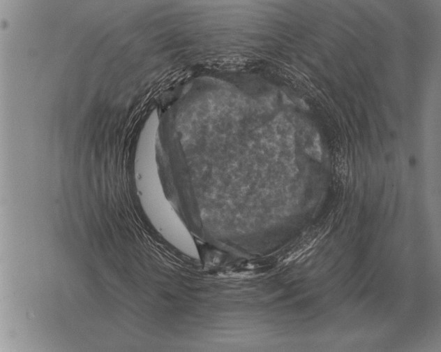 X0000075870818200610151658