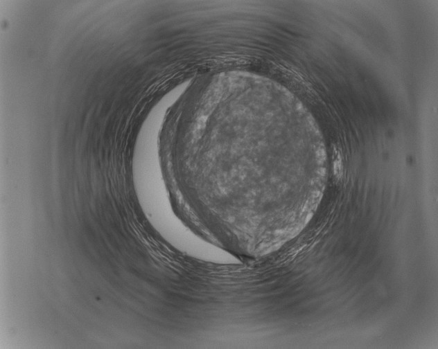 X0000075870819200610151658