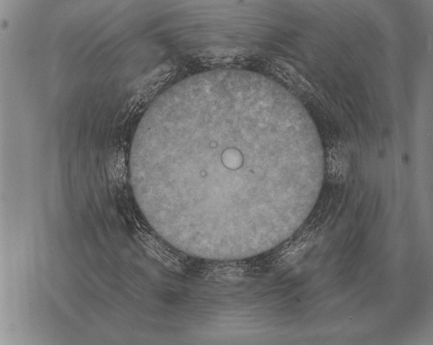 X0000075870820200610151658