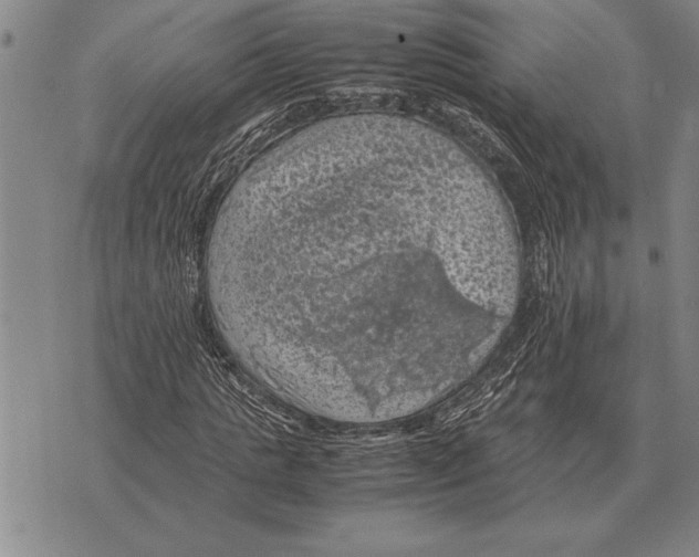 X0000075870821200610151658