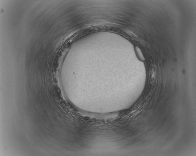 X0000075870822200610151658