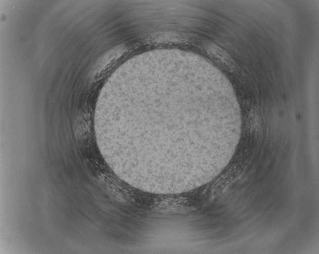 X0000075870824200610151658