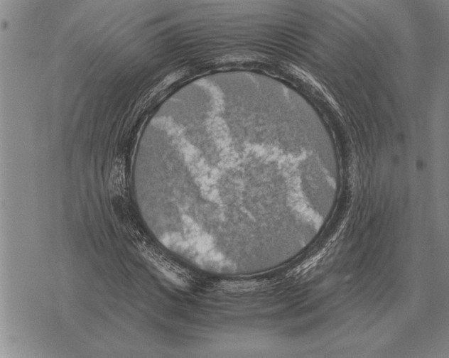 X0000075870825200610151658