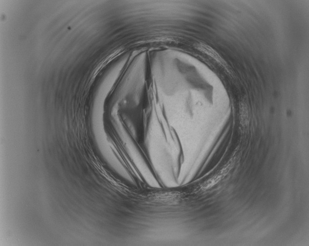 X0000075870826200610151658