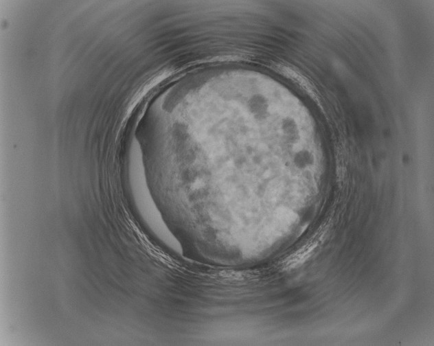 X0000075870827200610151658