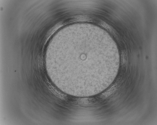 X0000075870828200610151658