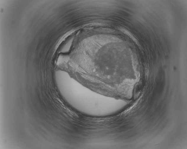 X0000075870829200610151658