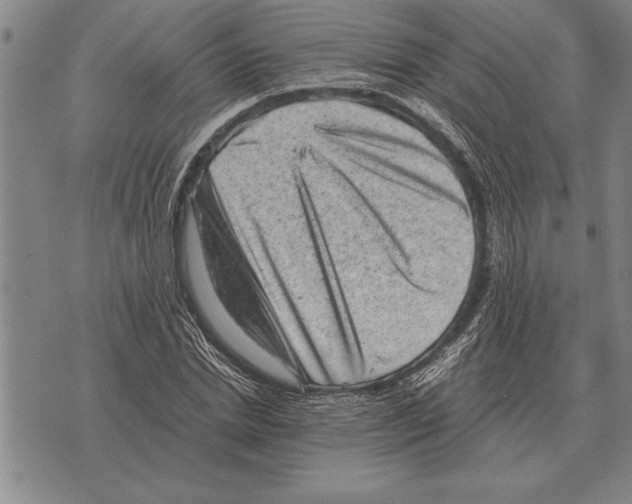 X0000075870830200610151658