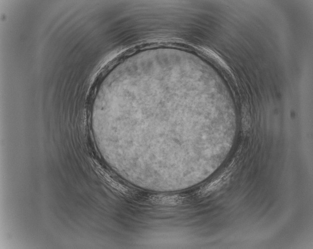 X0000075870831200610151658