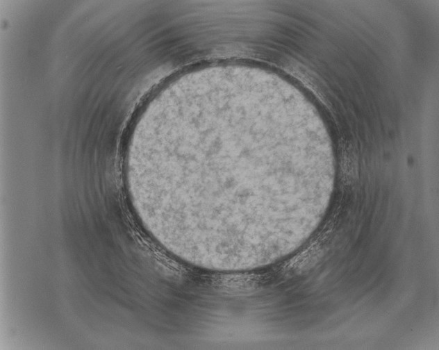 X0000075870832200610151658