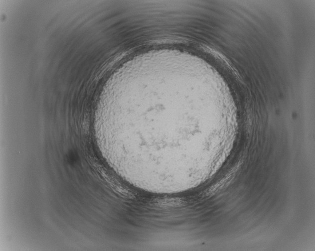 X0000075870833200610151658