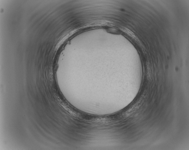 X0000075870834200610151658