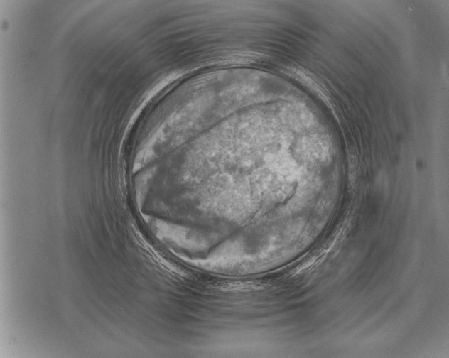 X0000075870835200610151658