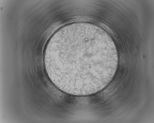 X0000075870836200610151658