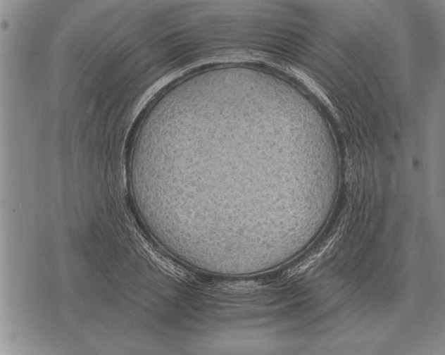 X0000075870837200610151658