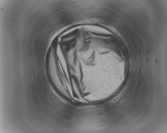 X0000075870838200610151658