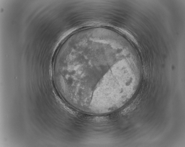 X0000075870839200610151658