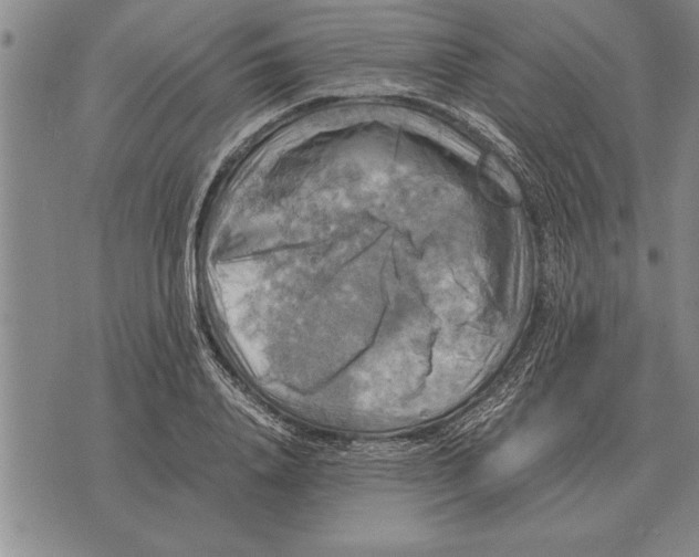 X0000075870840200610151658