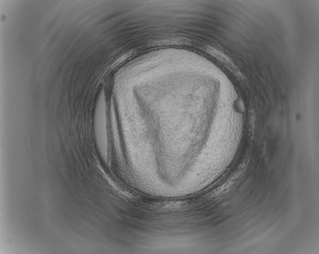 X0000075870841200610151658