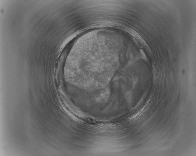 X0000075870842200610151658