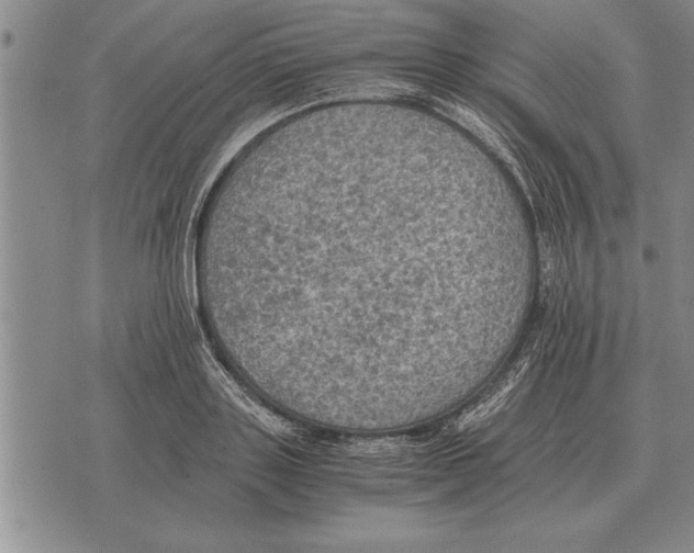 X0000075870843200610151658