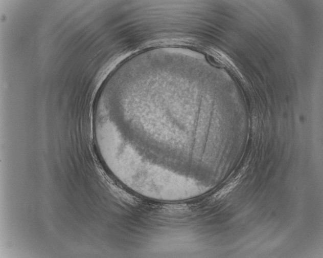 X0000075870844200610151658