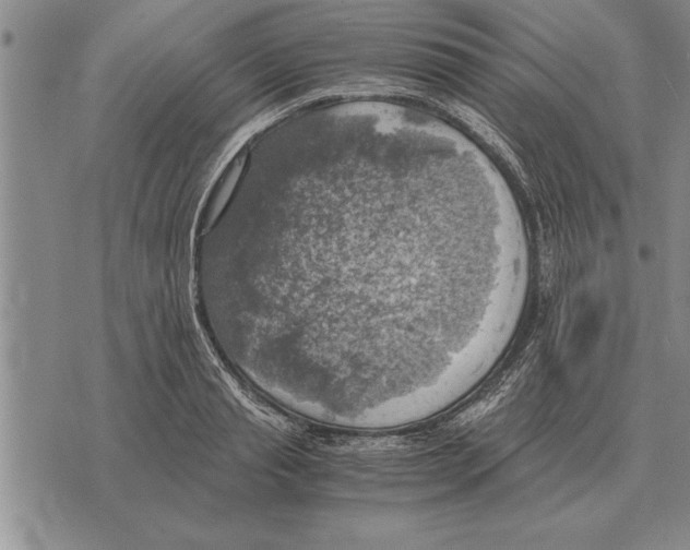 X0000075870845200610151658