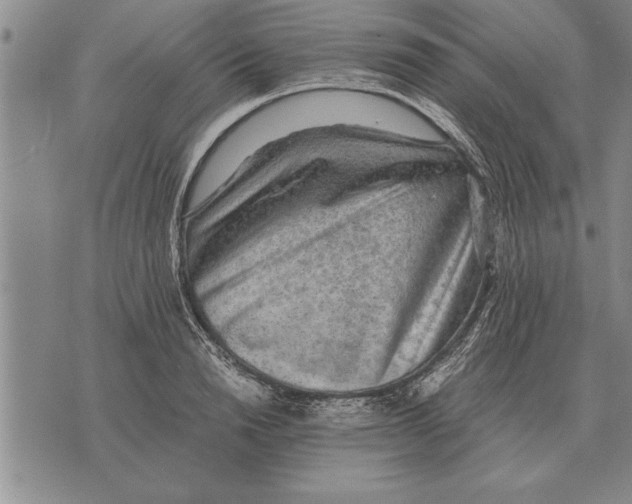 X0000075870846200610151658