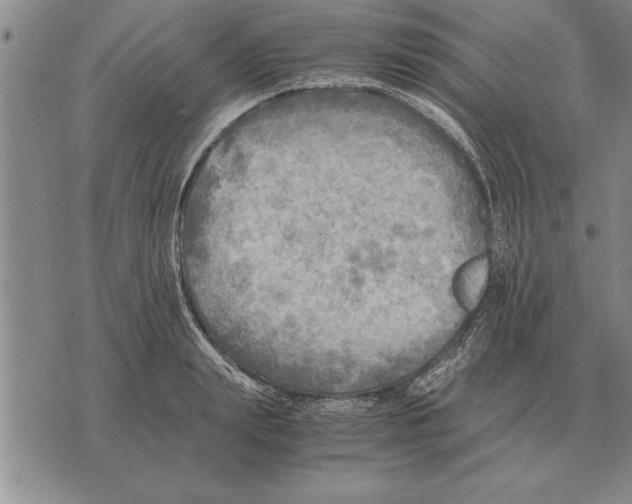 X0000075870847200610151658