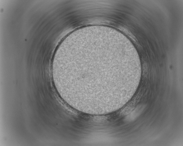 X0000075870848200610151658