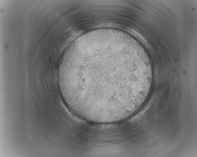 X0000075870849200610151658