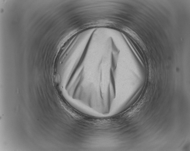 X0000075870850200610151658