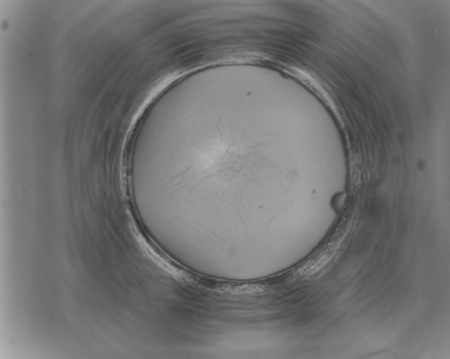 X0000075870851200610151658