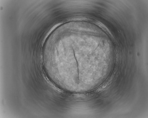 X0000075870852200610151658