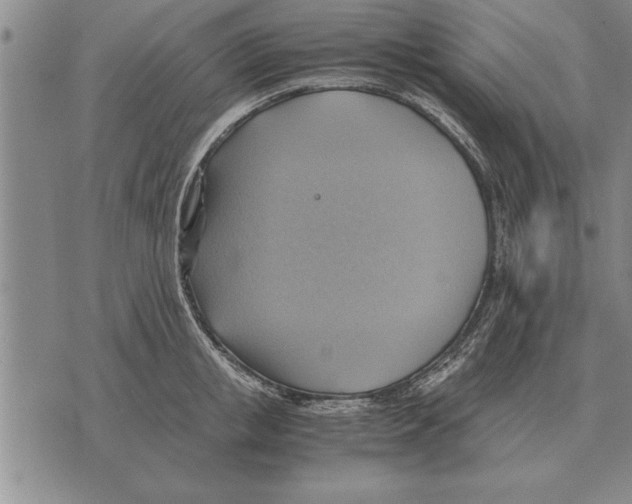 X0000075870853200610151659