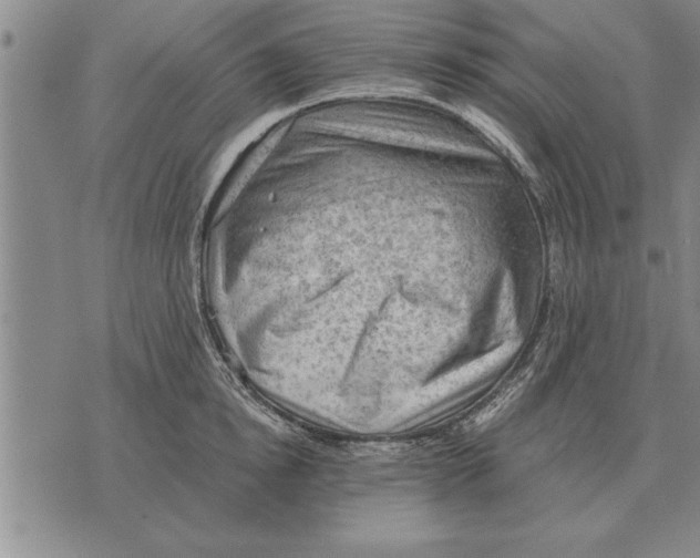 X0000075870854200610151659