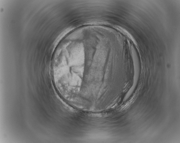 X0000075870855200610151659