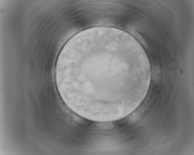 X0000075870856200610151659