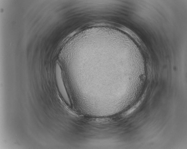 X0000075870857200610151659