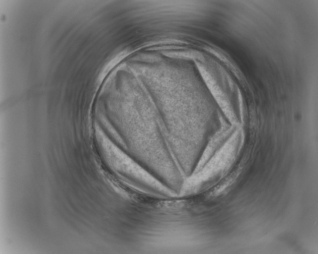 X0000075870858200610151659